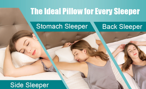 Cervical Pillow (70% OFF)